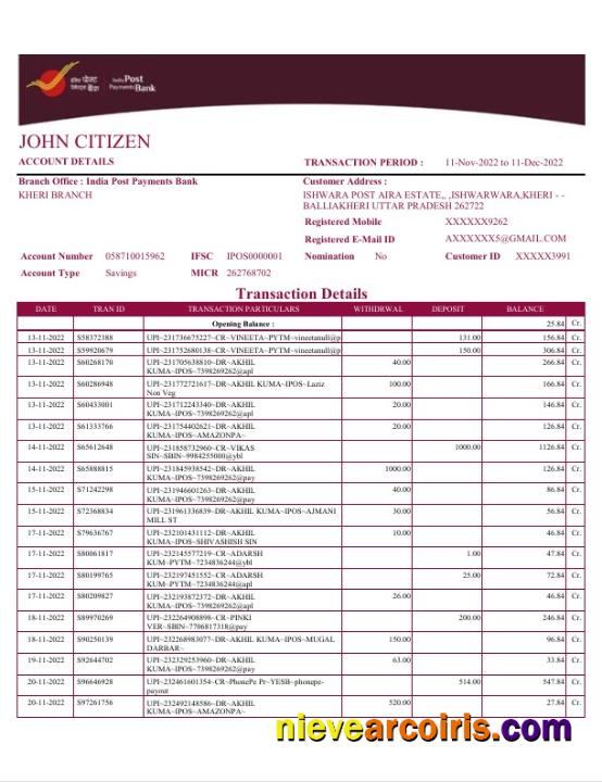 India Post Payments Bank statement Word and PDF, 4 pages